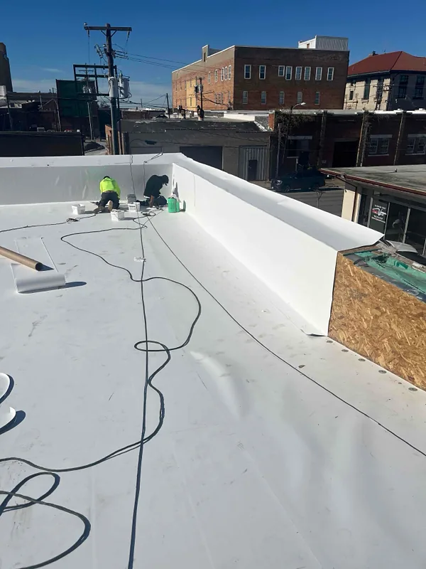 Roof project